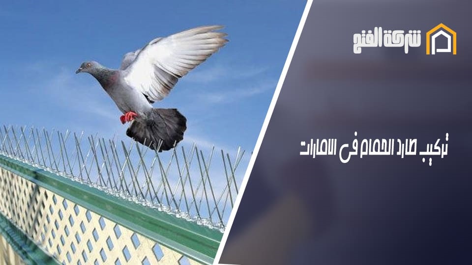 تركيب طارد الحمام في الامارات